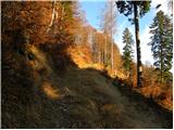 Tržiški graben - Planina Javornik